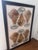 Vintage 1950s Diner Advertising Lithographs For Sale - Image 4 of 4