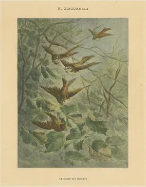 Giacomelli, Sparrows in Falling Leaves, 1891, Print