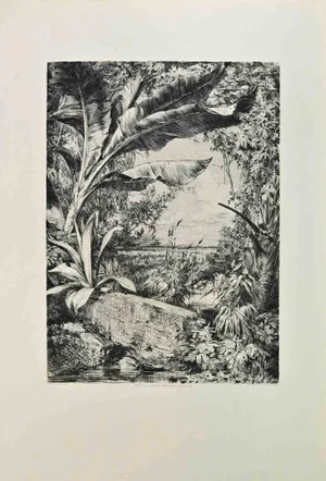 Jules Jacquemart, Plants of the Greenhouse, Etching, 1862
