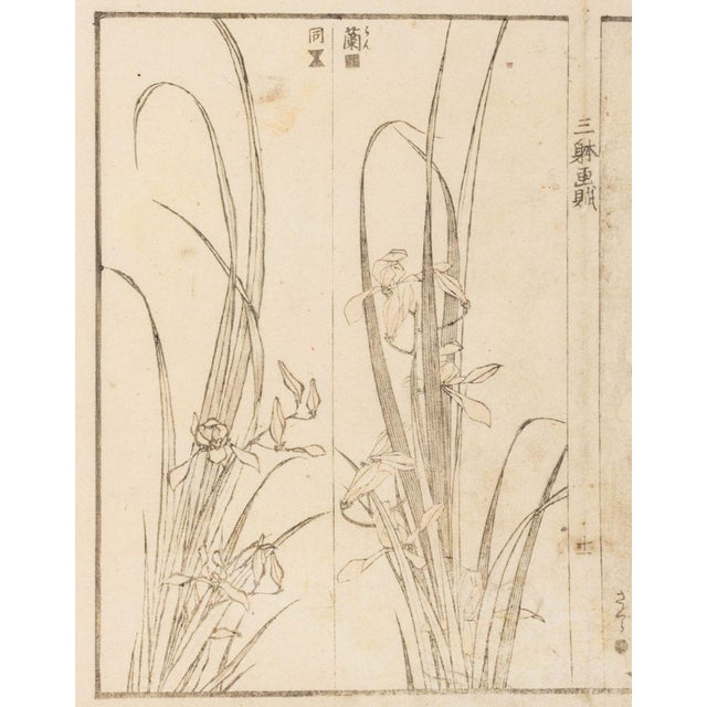 Paper Japanese School Botanical Woodblock Prints, 3 For Sale - Image 7 of 17