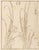Paper Japanese School Botanical Woodblock Prints, 3 For Sale - Image 7 of 17