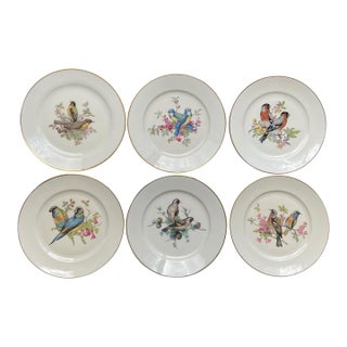Mid 20th Century Porcelain Song Bird Plates JKW Western Germany, Set of 6 For Sale