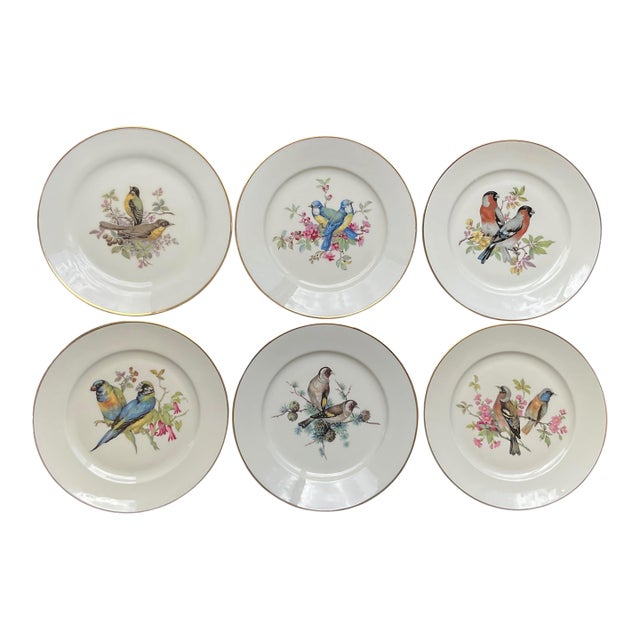 Mid 20th Century Porcelain Song Bird Plates JKW Western Germany, Set of 6 For Sale
