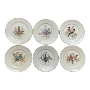 Mid 20th Century Porcelain Song Bird Plates JKW Western Germany, Set of 6