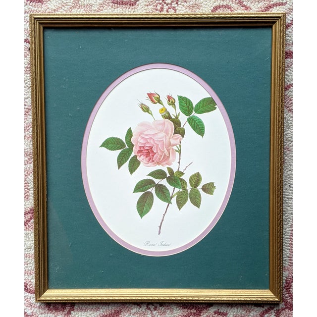 Teal Vintage Botanical Floral Rose Lithograph Framed For Sale - Image 8 of 10