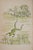 Tsuguharu Foujita, Zen, Grenouille au dessus d’un Étang, Engraving For Sale - Image 5 of 5