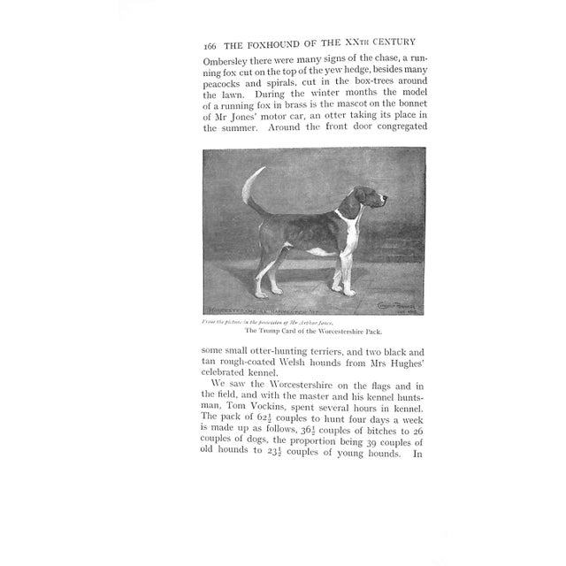 White "The Foxhound of the Twentieth Century the Breeding and Work of the Kennels of England" 1914 Bradley, Cuthbert For Sale - Image 8 of 13