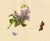 An original c.1832 watercolour painting – Louisa Hare, Butterflies on Lilac Flower.An outstanding large botanical...