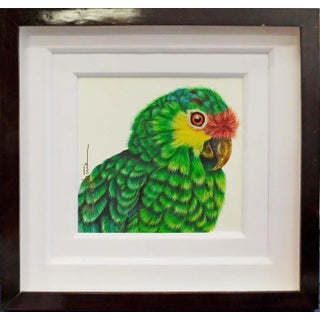 Luis Sottil "Amazona Frenti Roja Eggshell Series" #14871 Hand Signed Canvas For Sale