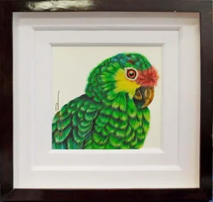 Luis Sottil "Amazona Frenti Roja Eggshell Series" #14871 Hand Signed Canvas