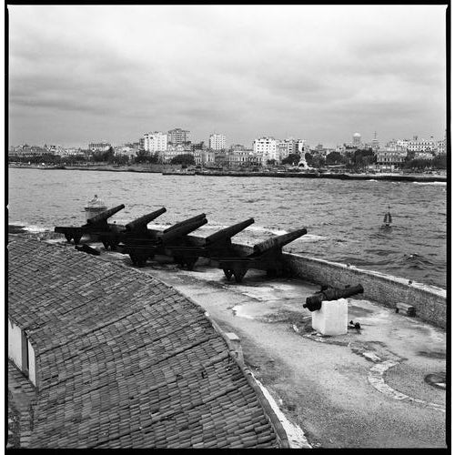 Paul Cooklin, Cannon, Edition of 50 For Sale - Image 4 of 4