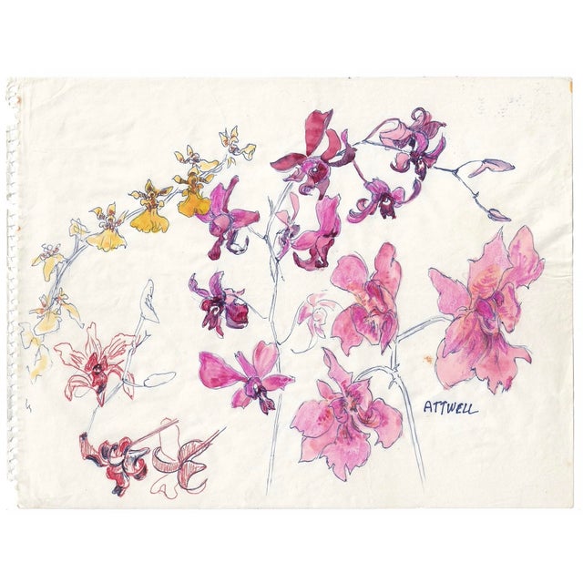 Botanical painting on paper by English artist Ivy Attwell (1895-1985),. Attwell traveled extensively all over the world...