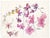 Botanical painting on paper by English artist Ivy Attwell (1895-1985),. Attwell traveled extensively all over the world...