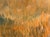 Nancy Paris Pruden "Sunset at The Horse Barn" Contemporary Naturalistic Pastoral Landscape Painting, 2020s For Sale - Image 9 of 11