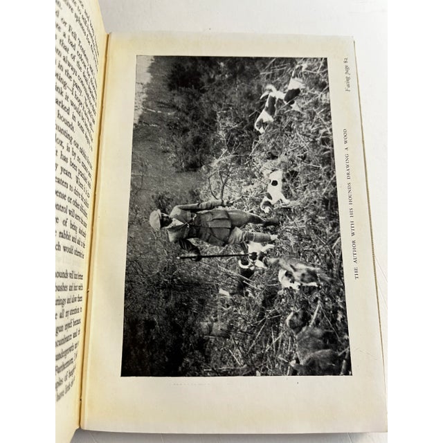 Tan 1946 Beagle and Terrier Dogs Book For Sale - Image 8 of 10