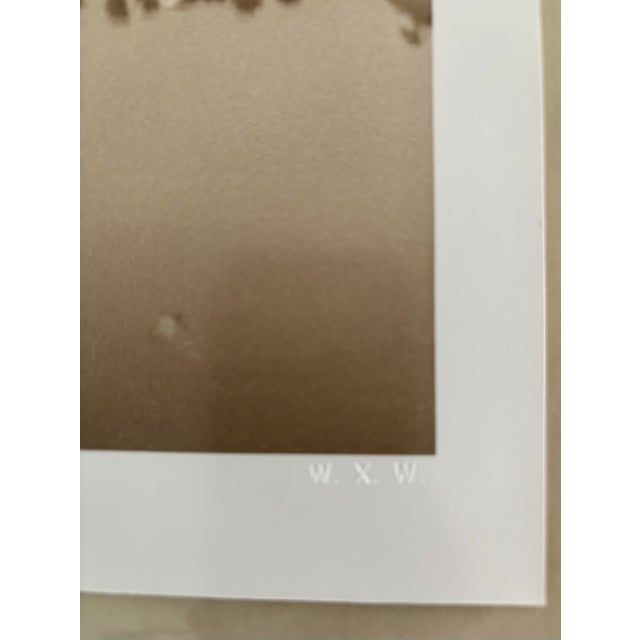 Waswo X. Waswo Signed Sepia Toned Silver Gelatin Photograph “A Flight of Birds Jaisalmer” For Sale - Image 4 of 11
