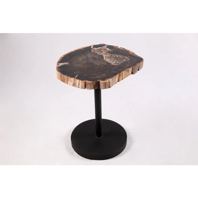 Living Edge Petrified Wood Top W Black Metal Stand Accent Table or Side Table 62 For Sale - Image 4 of 5