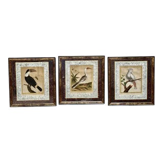 Martinet Engravings, Framed, Set of Three, Late 18th Century For Sale