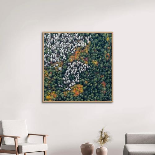 Not Yet Made - Made To Order Bernhard Lang, bavarian_forest_014 Size B, Limited Edition Fine Art Photograph For Sale - Image 5 of 8