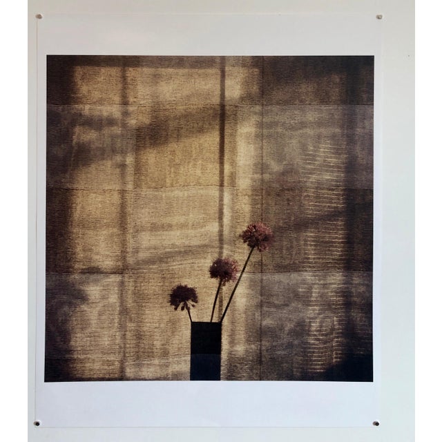 Checkered Alliums, The Tappen House, Little Compton, RI (Rhode Island). Hand signed and numbered. small edition of 15...