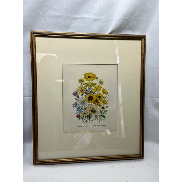 Pair of floral prints - can be purchased separately or together. $95 each. These lovely prints would make a great addition...