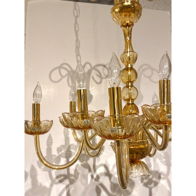 Myran Allan Luxury Lighting Italian Amber Glass Chandelier For Sale In Atlanta - Image 6 of 7