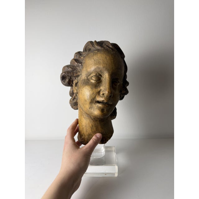 Genovese Artist, Sculpture Depicting the Head of an Angel, 17th Century, Wood For Sale - Image 3 of 18