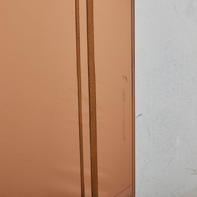 Early 20th Century Rose Gold Back Painted Mirror No. 03, France 1920s For Sale - Image 5 of 11