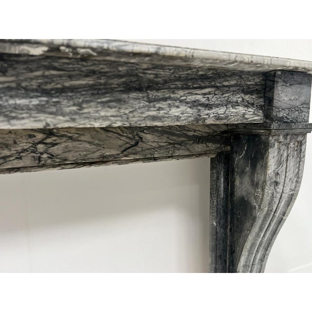 Napoleon III Fireplace in Blue Turquin Marble, 1800s For Sale - Image 16 of 18