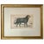 19th Century Antique Dog Print of a Newfoundland by Sir William Jardine London 1854 For Sale - Image 5 of 5