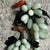 Vintage Carved Green Stone Grape Cluster Sculptures - A Pair For Sale - Image 11 of 13