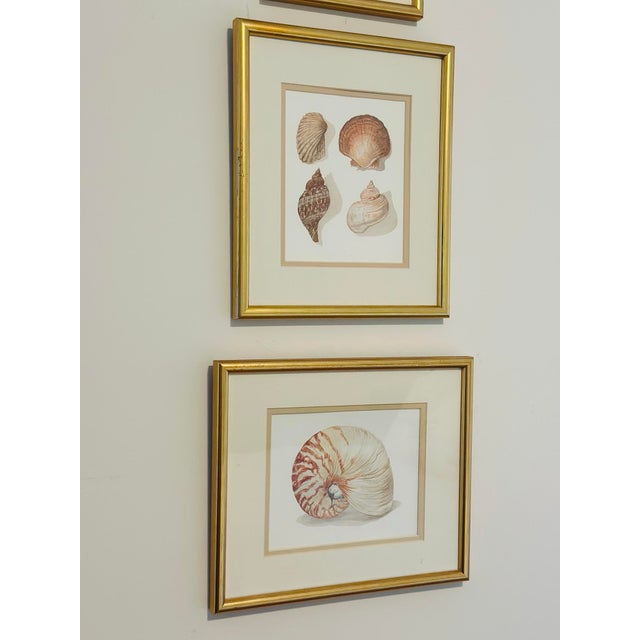 Glass Set of Three Seashell Paintings, Framed For Sale - Image 7 of 8
