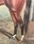 1920s Frederick Albert Clark (1869–1954) Spion Kop, Winner of the Derby Stakes, Important Signed British Equestrian Oil Painting, Dated 1920 For Sale - Image 5 of 10