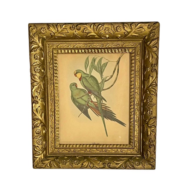 Early 20th Century Early 20th Century Framed J. Gould Bird Prints in Ornate Gilt Frames - a Pair For Sale - Image 5 of 18