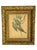 Early 20th Century Early 20th Century Framed J. Gould Bird Prints in Ornate Gilt Frames - a Pair For Sale - Image 5 of 18