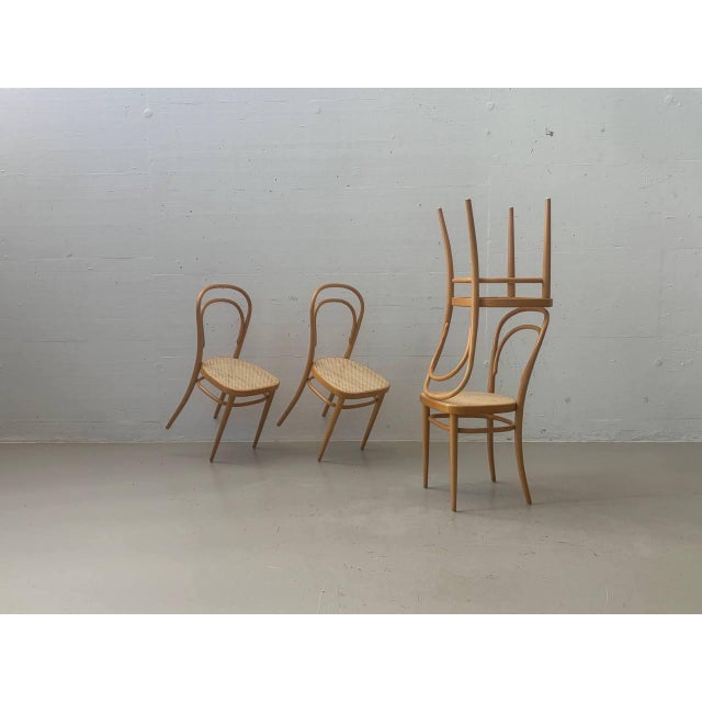 1960s Bentwood Chair with Viennese Caning by Michael Thonet for Wohnbedarf, 1960s For Sale - Image 5 of 18