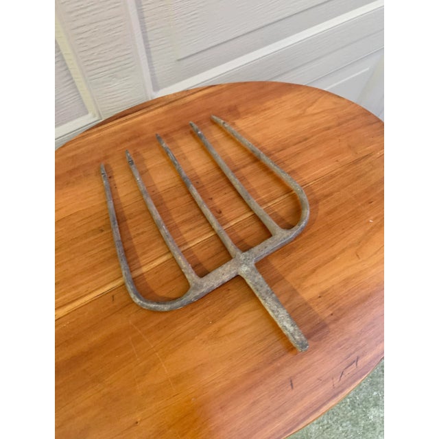 19th-Century Hand-Forged Five-Prong Iron Fishing Spear For Sale - Image 4 of 10