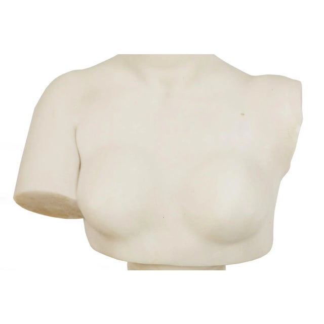 Italian Grand Tour Carved Alabaster Bust of Venus of Milo, 20th Century For Sale - Image 10 of 18