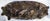 1900s French Terracotta Bread Mold Form For Sale In West Palm - Image 6 of 6