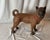 English A 19th Century Terra Cotta English Pugdog For Sale - Image 3 of 10
