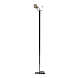 Cobra Floor Lamp by Luigi Caccia Dominioni for Azucena, 1970s For Sale