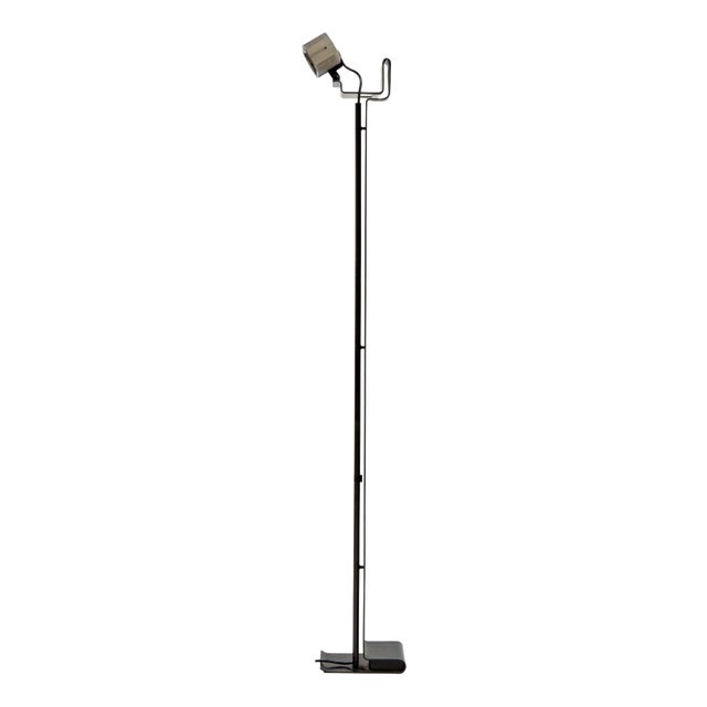 Cobra Floor Lamp by Luigi Caccia Dominioni for Azucena, 1970s For Sale