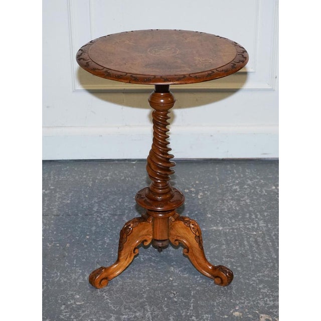 Antique Marquetry Burr Walnut Pedestal For Sale - Image 3 of 13