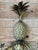 Mid-20th Century Regency Metal Tole Gilt Pineapple Wall Candle Sconce For Sale - Image 4 of 12
