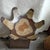 Mid-Century Modern 19" Two-Tone Monkey Pod Wood Lotus Petal Pedestal Centerpiece For Sale In Tampa - Image 6 of 17