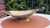 Antique Art Nouveau Brass-Plated Plateau, 1890s For Sale - Image 3 of 8
