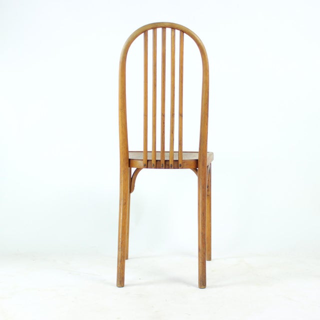 Oak Bentwood Chair by Michael Thonet, 1920s For Sale - Image 12 of 16