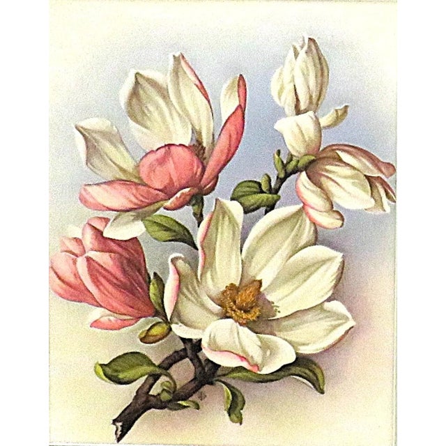 FREE SHIPPING ANYWHERE IN THE CONTINENTAL US! This is a set of vintage Art Deco lithographs featuring magnolias. The...