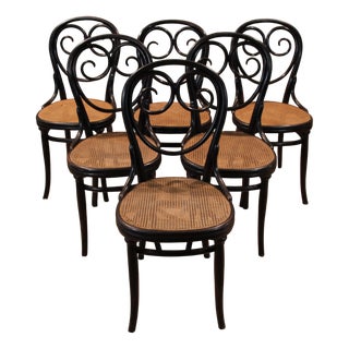 Vintage Chairs by Michael Thonet for Gebrüder Thonet, 1880, Set of 6 For Sale