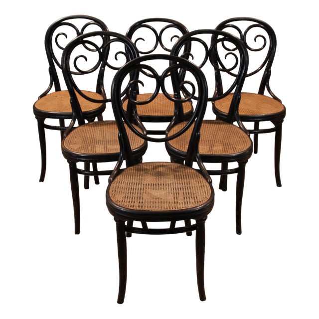 Vintage Chairs by Michael Thonet for Gebrüder Thonet, 1880, Set of 6 For Sale
